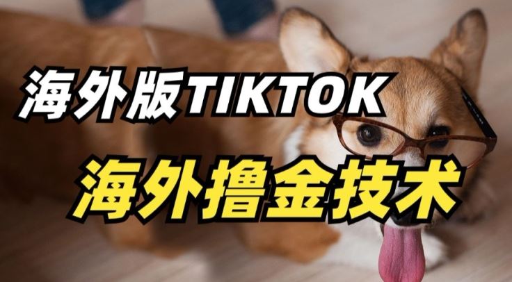 抖音海外版tiktok撸金技术，这个风口行业，赚钱真的不难【揭秘】-宇文网创