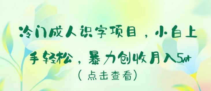 冷门成人识字项目，小白上手轻松，暴力创收月入5w+【揭秘】-宇文网创