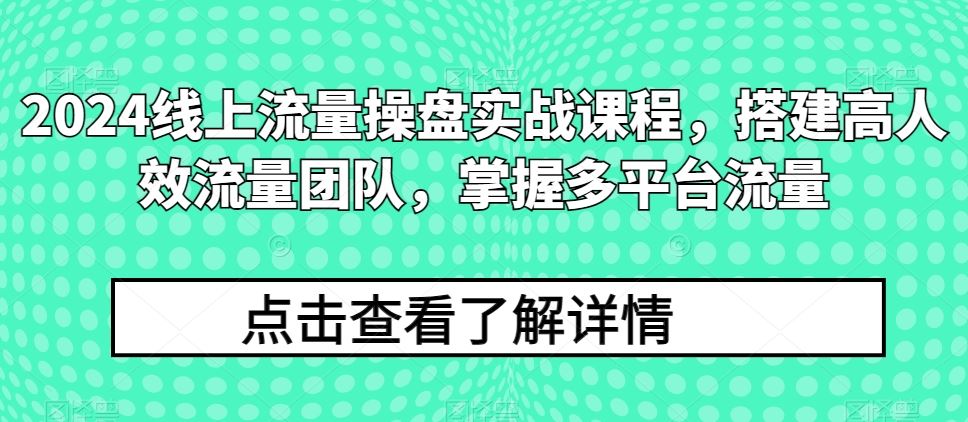 2024线上流量操盘实战课程，搭建高人效流量团队，掌握多平台流量-宇文网创