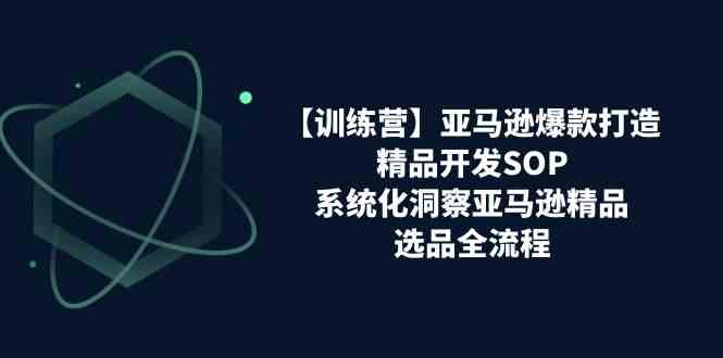 亚马逊爆款打造之精品开发SOP【训练营】，系统化洞察亚马逊精品选品全流程-宇文网创