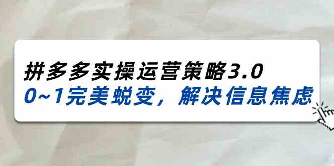 2024-2025拼多多实操运营策略3.0，0~1完美蜕变，解决信息焦虑（-宇文网创