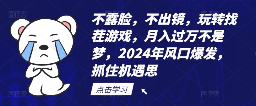 不露脸，不出镜，玩转找茬游戏，月入过万不是梦，2024年风口爆发，抓住机遇【揭秘】-宇文网创