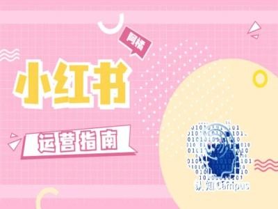 小红书运营指南，没有套路，全是经验-宇文网创