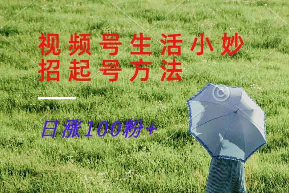 视频号生活小妙招分享赛道， 起号涨粉新方法，日涨100粉-宇文网创