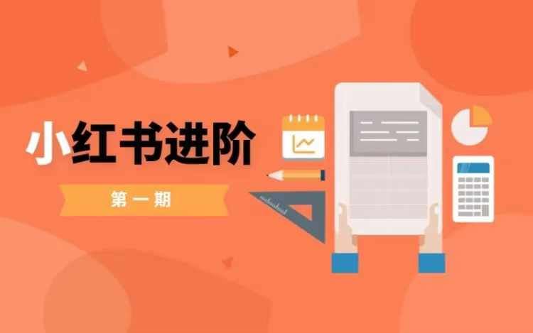 小红书进阶篇，零基础小白实战课，普通人变现的课程-宇文网创