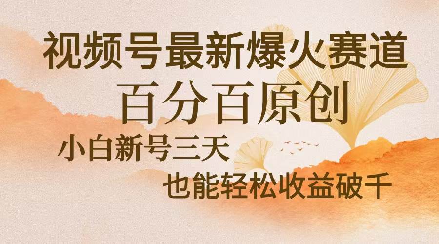视频号最新爆火赛道，中老年粉深信不疑，百分百原创，新号三天收益轻松…-宇文网创