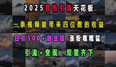 2025自热引流天花板，一条视频能带来四位数的收益，引流+变现双管齐下，日引500+创业粉，涨粉嘎嘎猛-宇文网创