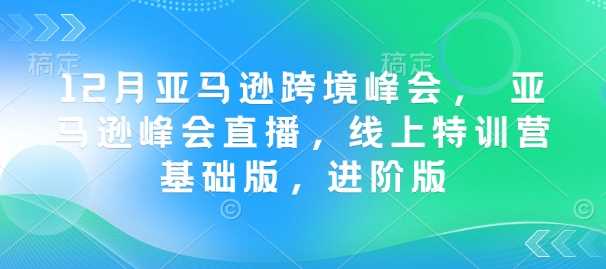 12月亚马逊跨境峰会， 亚马逊峰会直播，线上特训营基础版，进阶版-宇文网创