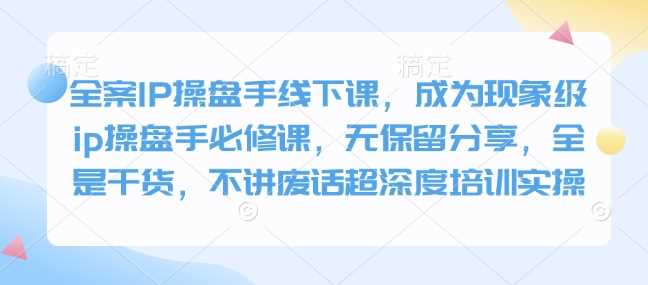 全案IP操盘手线下课，成为现象级ip操盘手必修课，无保留分享，全是干货，不讲废话超深度培训实操-宇文网创