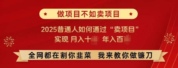 必看，做项目不如卖项目，2025普通人如何通过“卖项目”实现月入十个，年入百个-宇文网创