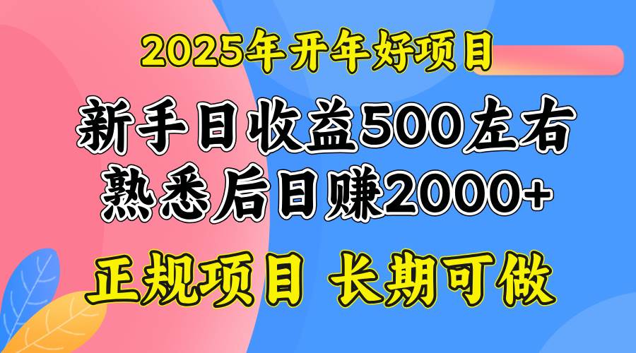 2025开年好项目，单号日收益2000左右-宇文网创