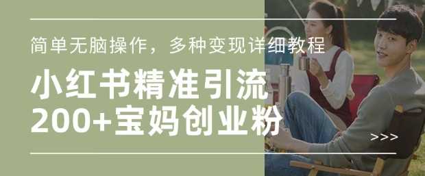 小红书混剪日引200+宝妈创业粉，简单无脑操作，多种变现详细教程-宇文网创