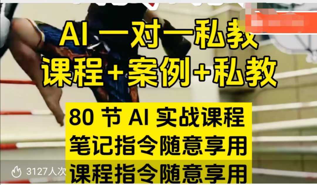AI指令实战课，课程+案例，80节AI实战课程，笔记指令随意享用，课程指令随意享用-宇文网创