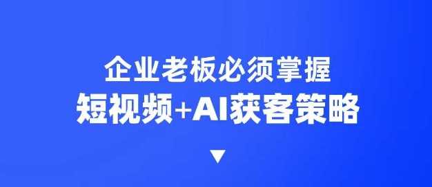 企业短视频AI获客霸屏流量课，6步短视频+AI突围法，3大霸屏抢客策略-宇文网创