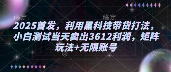 2025首发，利用黑科技带货打法，小白测试当天卖出3612利润，矩阵玩法+无限账号【揭秘】-宇文网创