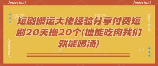 短剧搬运大佬经验分享付费短剧20天撸20个(他能吃肉我们就能喝汤)-宇文网创