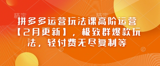 拼多多运营玩法课高阶运营【2月更新】，极致群爆款玩法，轻付费无尽复制等-宇文网创