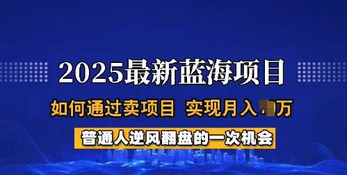 2025蓝海项目，普通人如何通过卖项目，实现月入过W，全过程【揭秘】-宇文网创