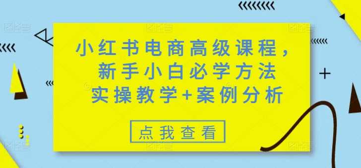 小红书电商高级课程，新手小白必学方法，实操教学+案例分析-宇文网创