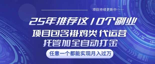 25年推荐这10个副业项目包含褂鸡类、代运营托管类、全自动打金类【揭秘】-宇文网创