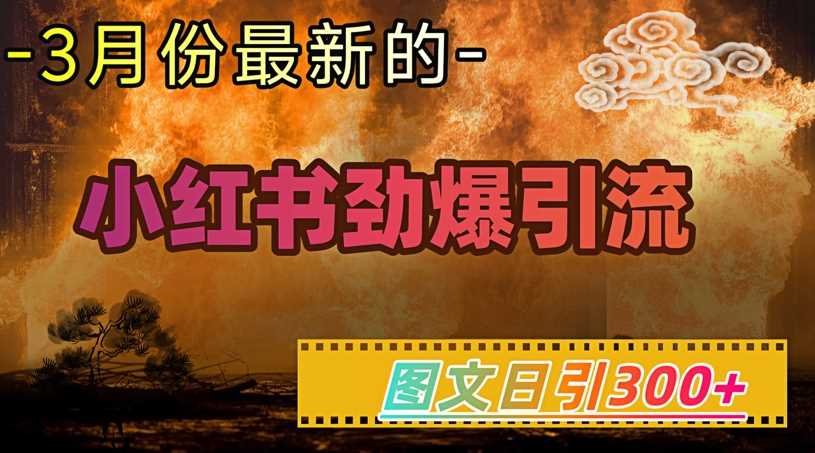 小红书超劲爆引流手段，图文日引300+轻松变现1W-宇文网创