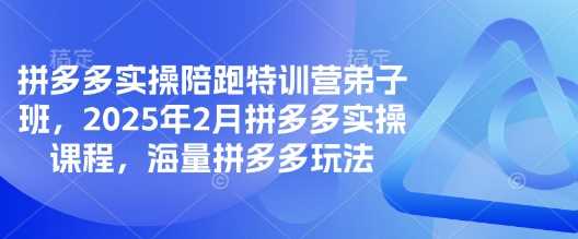 拼多多实操陪跑特训营弟子班，2025年2月拼多多实操课程，海量拼多多玩法-宇文网创