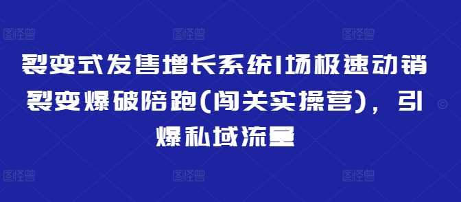 裂变式发售增长系统1场极速动销裂变爆破陪跑(闯关实操营)，引爆私域流量-宇文网创