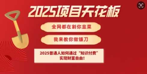 2025项目天花板普通人如何通过知识付费，实现财F自由【揭秘】-宇文网创