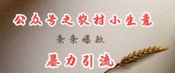 deepseek写农村小项目，条条爆款，暴力引流-宇文网创