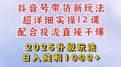 2025全新升级抖音带货玩法，一天纯利四位数，从剪辑到选品再到发布投流，超详细玩法揭秘-宇文网创