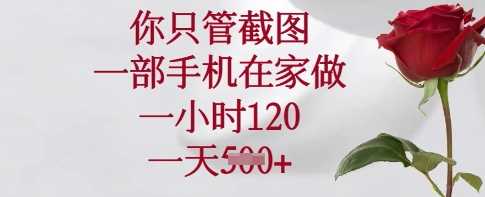 你只管截图，一部手机在家做，一小时120.一天5张【揭秘】-宇文网创