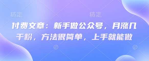 付费文章：新手做公众号，月涨几干粉，方法很简单，上手就能做-宇文网创