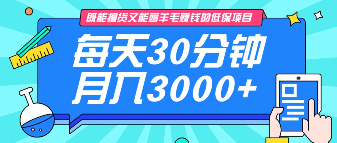 既能撸货又能赚钱的长期低保项目，每天30分钟，多号百分百稳定月入3000+！-宇文网创