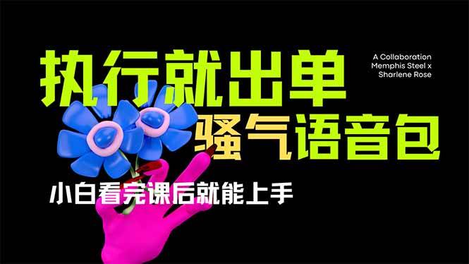 爆火全网的开车导航骚气语音包,只要执行就出单，小白看完课程就能实操…-宇文网创