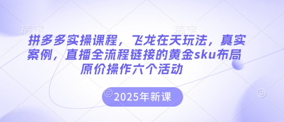 拼多多实操课程，飞龙在天玩法，真实案例，直播全流程链接的黄金sku布局原价操作六个活动-宇文网创