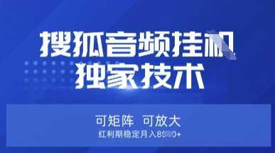 【搜狐音频挂G】独家技术，可矩阵可放大，红利期稳定月入8k【揭秘】-宇文网创