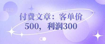 付费文章：客单价500，利润300-宇文网创