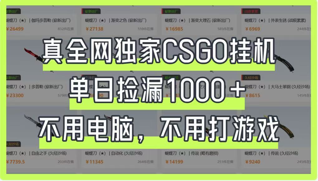 真全网独家CSGO挂机，单日捡漏1000+，不用电脑，不用养号-宇文网创