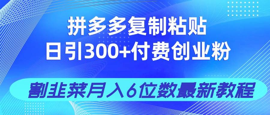 拼多多复制粘贴日引300+付费创业粉，割韭菜月入6位数最新教程！-宇文网创
