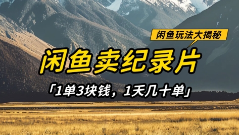 闲鱼卖纪录片1单3块钱，1天几十单，项目稳定有潜力-宇文网创