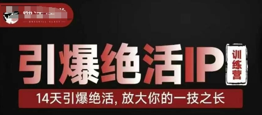 引爆绝活IP训练营，14天引爆绝活，放大你的一技之长-宇文网创