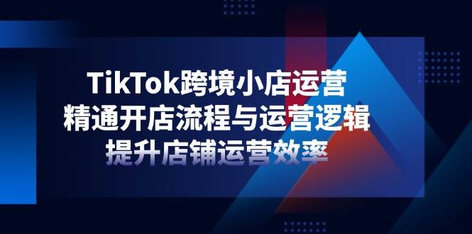 TikTok跨境小店运营，精通开店流程与运营逻辑，提升店铺运营效率-宇文网创