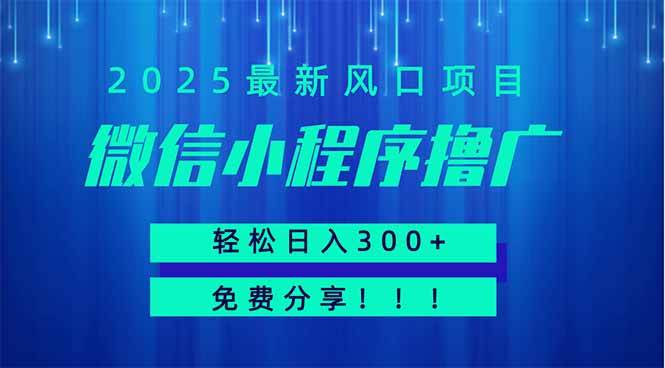 微信小程序撸广，最新风口项目，日入300+ 免费分享 可批量操作 小白可…-宇文网创