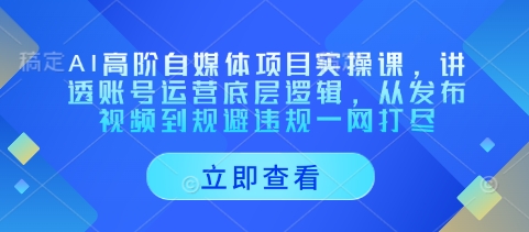 AI高阶自媒体项目实操课，讲透账号运营底层逻辑，从发布视频到规避违规一网打尽-宇文网创