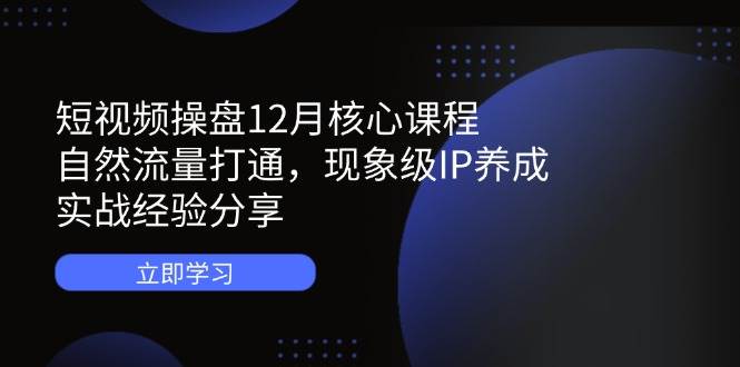 短视频操盘12月核心课程：自然流量打通，现象级IP养成，实战经验分享-宇文网创