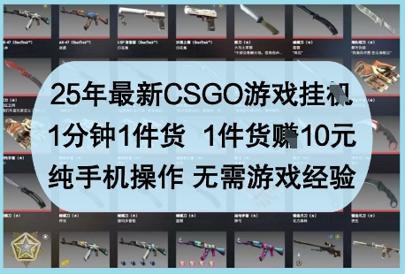 25年最新CSGO游戏挂G，1分钟1件货，1件货挣10元，纯手机操作，无需游戏经验【揭秘】-宇文网创