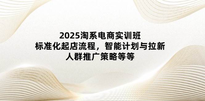 2025淘系电商实训班：标准化起店流程，智能计划与拉新，人群推广策略等等-宇文网创