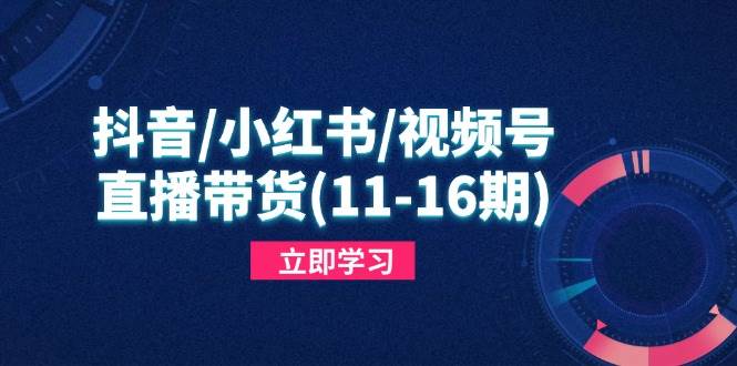 抖音/小红书/视频号/直播带货(11-16期)，快速掌握平台规则，打造爆款内容-宇文网创