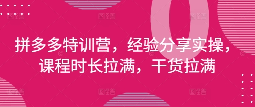 拼多多特训营，经验分享实操，课程时长拉满，干货拉满(更新25年4月)-宇文网创
