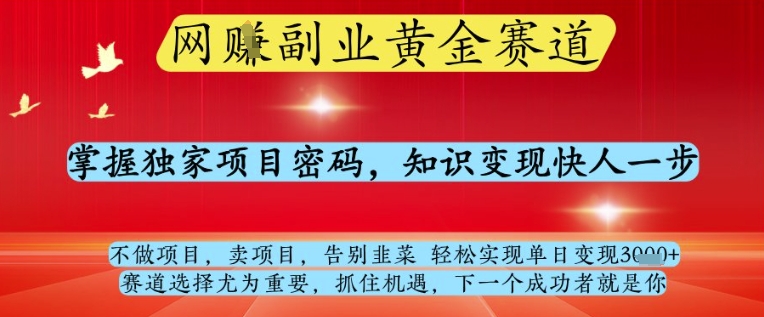 网创副业黄全赛道，掌握独家项目密码，知识变现快人一步，告别韭菜轻松实现单日变现1k+【揭秘】-宇文网创